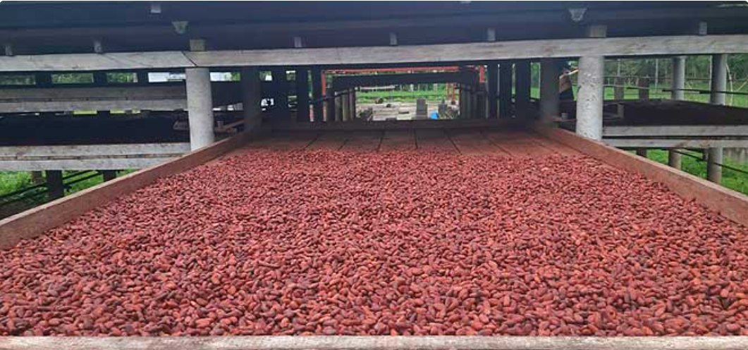 Barra de Chocolate de 80% Cacao - Imagen 3